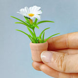 Maxbell Dollhouse Plant Furniture Dolls Dollhouse Toy Model Miniature Potted Flowers