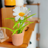 Maxbell Dollhouse Plant Furniture Dolls Dollhouse Toy Model Miniature Potted Flowers