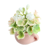 Maxbell 5xMiniature Potted Plant 1/12 Bedroom Artificial Flower Model Scenery Supplies