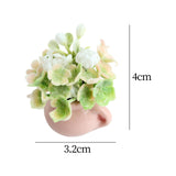 Maxbell 2xMiniature Potted Plant 1/12 Bedroom Artificial Flower Model Scenery Supplies