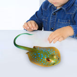 Maxbell Marine Figurine Educational Collectible Figure for Ages 3+ Kids Kindergarten Style C