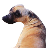 Maxbell 3D Simulation Dog Plush Pillow Stuffed Animals Plush Toy for Office Car Sofa
