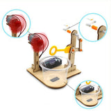 Maxbell 2xScience Experiment Toy Holiday Gifts Wooden Toy for Kids Students Girls Boys