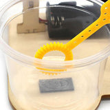 Maxbell 2xScience Experiment Toy Holiday Gifts Wooden Toy for Kids Students Girls Boys