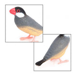 Maxbell Bird Model Garden Bird Toy for Micro Landscape Cake Toppers Photo Props style A