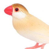Maxbell Bird Model Garden Bird Toy for Micro Landscape Cake Toppers Photo Props style B