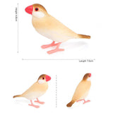Maxbell Bird Model Garden Bird Toy for Micro Landscape Cake Toppers Photo Props style B
