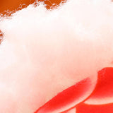 Maxbell Plush Dragon Doll Cartoon Chinese New Year Decorations for Home Decorations