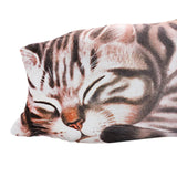 Maxbell Lovely Plush Stuffed Animal Cuddly Cute Plush Toy Pillow for Home Decoration White Brown