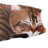 Maxbell Lovely Plush Stuffed Animal Cuddly Cute Plush Toy Pillow for Home Decoration Brown Cat