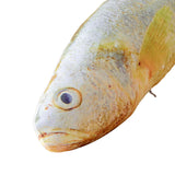 Maxbell Giant Fish Plush Realistic Toy Funny Hugging Throw Pillow for Gifts Birthday 120cm