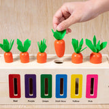 Maxbell 3 in 1 Montessori Toy Early Learning Holiday Puzzle Toy Multifunctional