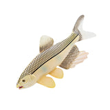 Maxbell Simulated Sea Life Animals Figurines Fish Model Toy for Birthday Cake Topper Herring