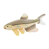 Maxbell Simulated Sea Life Animals Figurines Fish Model Toy for Birthday Cake Topper Herring