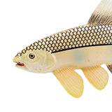 Maxbell Simulated Sea Life Animals Figurines Fish Model Toy for Birthday Cake Topper Herring