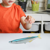 Maxbell Simulated Sea Life Animals Figurines Fish Model Toy for Birthday Cake Topper Saury