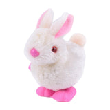 Maxbell Wind up Animal Easter Toy Bunny Jumping Chick Wind Up Toy for Kids Children