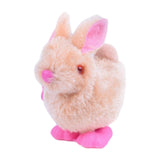 Maxbell Wind up Animal Easter Toy Bunny Jumping Chick Wind Up Toy for Kids Children