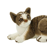 Maxbell Cute Cats Plush Doll Comfortable Lovely Stuffed Animals for Office Sofa Home