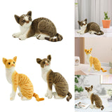 Maxbell Cute Cats Plush Doll Comfortable Lovely Stuffed Animals for Office Sofa Home