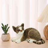 Maxbell Cute Cats Plush Doll Comfortable Lovely Stuffed Animals for Office Sofa Home