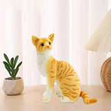 Maxbell Cute Cats Plush Doll Comfortable Lovely Stuffed Animals for Office Sofa Home