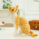 Maxbell Cute Cats Plush Doll Comfortable Lovely Stuffed Animals for Office Sofa Home