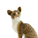 Maxbell Cute Cats Plush Doll Comfortable Lovely Stuffed Animals for Office Sofa Home