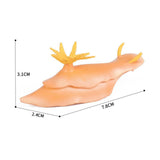 Maxbell Lifelike Marine Animal Figure Toys Science Animal Teaching for Home Tabletop