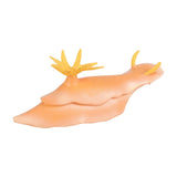 Maxbell Lifelike Marine Animal Figure Toys Science Animal Teaching for Home Tabletop