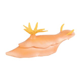 Maxbell Lifelike Marine Animal Figure Toys Science Animal Teaching for Home Tabletop