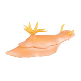 Maxbell Lifelike Marine Animal Figure Toys Science Animal Teaching for Home Tabletop