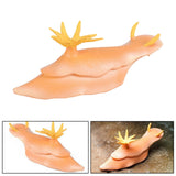 Maxbell Lifelike Marine Animal Figure Toys Science Animal Teaching for Home Tabletop