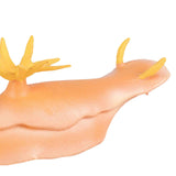 Maxbell Lifelike Marine Animal Figure Toys Science Animal Teaching for Home Tabletop