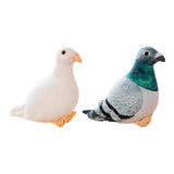 Maxbell Stuffed Doll Pigeon Kids Birthday Gifts Accompany Sleep Toy Pigeon Plush Toy
