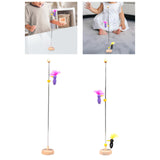 Maxbell Wooden Bird Pole Toy Funny Pecking Bird on A Pole for Teens Kids Boys Girls