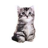 Maxbell Cat Plush Pillow Toy Comfortable Throw Pillow for Cosplay Living Room Office