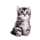 Maxbell Cat Plush Pillow Toy Comfortable Throw Pillow for Cosplay Living Room Office