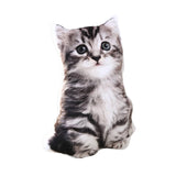 Maxbell Cat Plush Pillow Toy Comfortable Throw Pillow for Cosplay Living Room Office