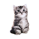 Maxbell Cat Plush Pillow Toy Comfortable Throw Pillow for Cosplay Living Room Office