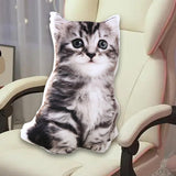 Maxbell Cat Plush Pillow Toy Comfortable Throw Pillow for Cosplay Living Room Office