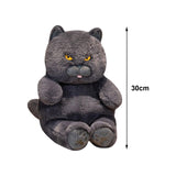 Maxbell British Shorthair Cat Plush 30cm Home Decor Plush Cat for Kids Birthday Blue