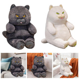 Maxbell British Shorthair Cat Plush 30cm Home Decor Plush Cat for Kids Birthday Blue