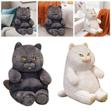 Maxbell British Shorthair Cat Plush 30cm Home Decor Plush Cat for Kids Birthday Blue
