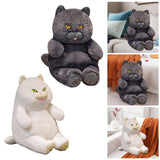 Maxbell British Shorthair Cat Plush 30cm Home Decor Plush Cat for Kids Birthday Blue