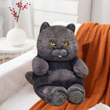 Maxbell British Shorthair Cat Plush 30cm Home Decor Plush Cat for Kids Birthday Blue