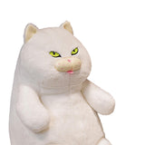 Maxbell British Shorthair Cat Plush 30cm Home Decor Plush Cat for Kids Birthday White