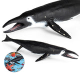Maxbell Fish Figurines Sea Animal Figures for Theme Party Party Favors Birthday Toys