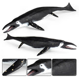 Maxbell Fish Figurines Sea Animal Figures for Theme Party Party Favors Birthday Toys