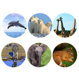 Maxbell Kids Toy Camera with Images in Viewfinder for 3-5 Years Children Goodie Bags